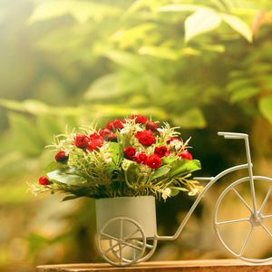 Превью обои цветы, емкость, велосипед, резкость
