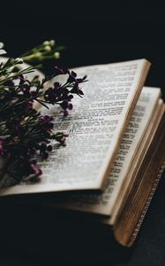 Превью обои цветы, книга, чтение, уют, размытость