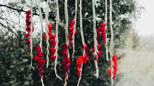 Превью обои цветы, красный, ветка, дерево, природа
