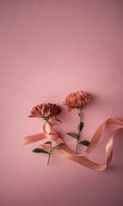 Превью обои цветы, лента, розовый