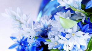 Превью обои цветы, лепестки, букет, белый, синий