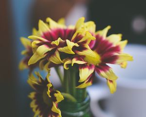 Превью обои цветы, лепестки, ваза