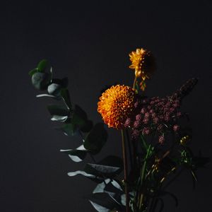 Превью обои цветы, листья, букет, темный