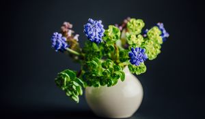 Превью обои цветы, листья, букет, ваза