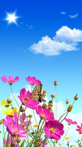 Превью обои цветы, небо, бабочки, воздушные шары
