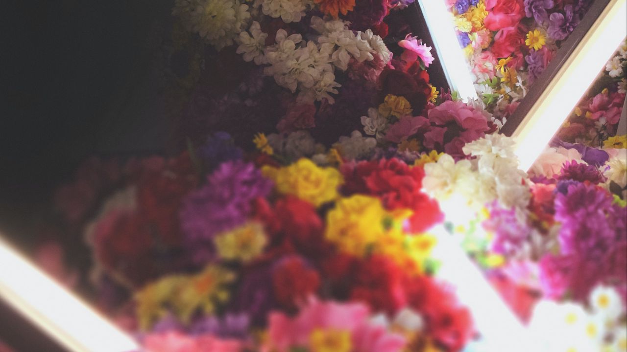 Обои цветы, неон, свет, букет