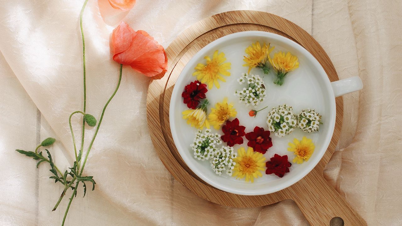 Обои цветы, одуванчик, тарелка, ткань