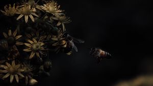 Превью обои цветы, пчелы, насекомые, макро