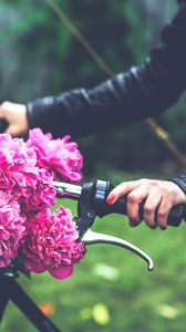 Превью обои цветы, пионы, велосипед, рука