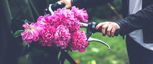 Превью обои цветы, пионы, велосипед, рука