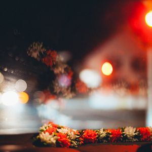 Превью обои цветы, размытие, боке, лепестки