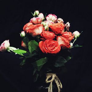 Превью обои цветы, розы, букет, красные розы