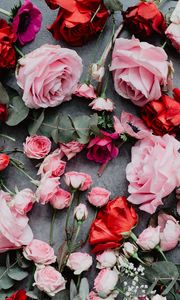 Превью обои цветы, розы, композиция, красный, розовый