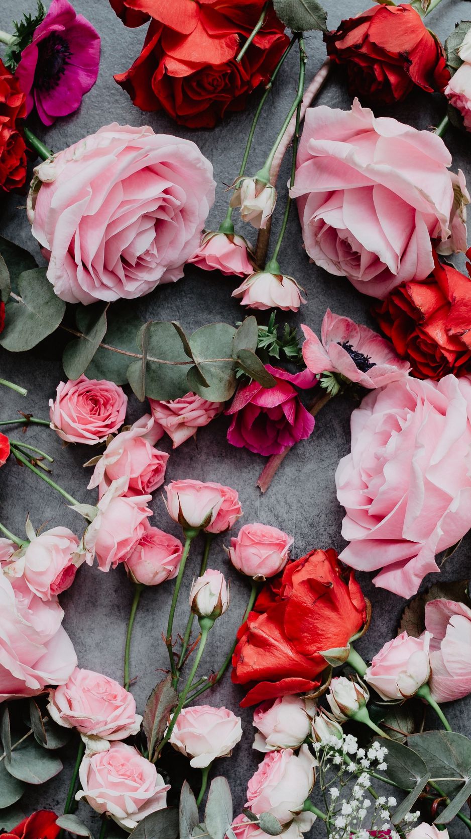 Скачать 938x1668 цветы, розы, композиция, красный, розовый обои, картинки iphone 8/7/6s/6 for parallax