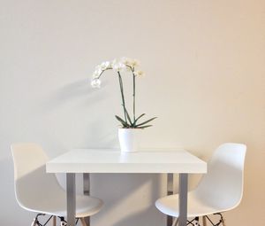 Превью обои цветы, стол, стулья, эстетика, интерьер, белый