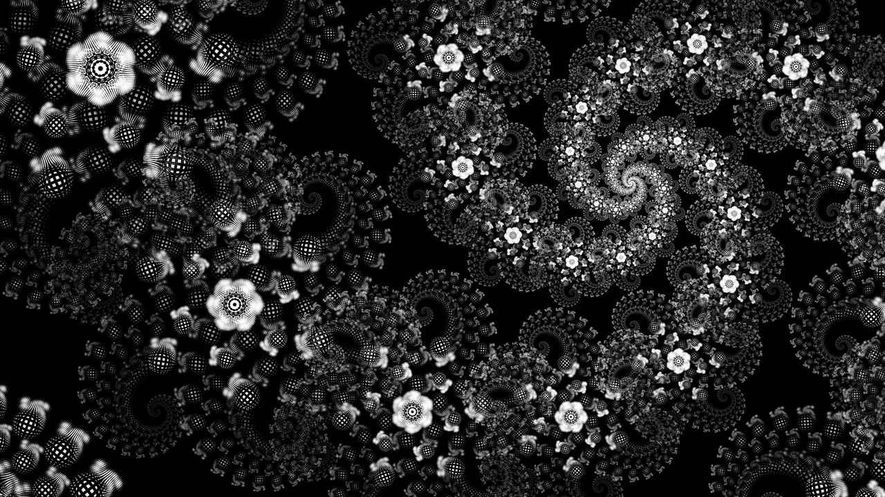 Обои цветы, узор, спираль, абстракция, черно-белый