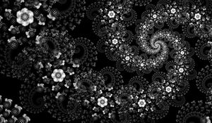 Превью обои цветы, узор, спираль, абстракция, черно-белый