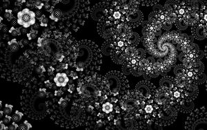 Превью обои цветы, узор, спираль, абстракция, черно-белый