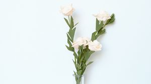 Превью обои цветы, ваза, белый, светлый