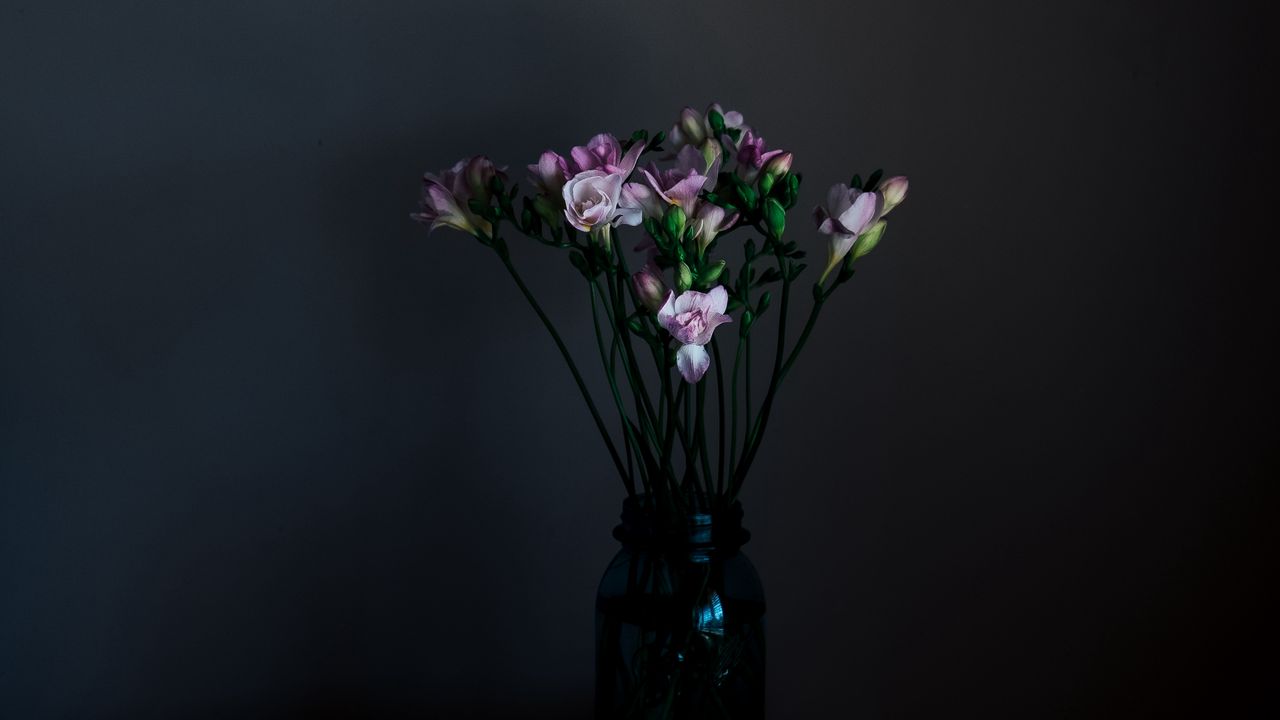 Обои цветы, ваза, темный, букет