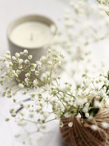 Превью обои цветы, ветки, корзина, свеча, белый, эстетика