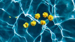 Превью обои цветы, вода, бассейн, прозрачный