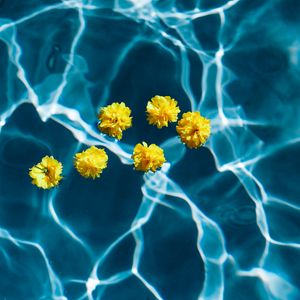 Превью обои цветы, вода, бассейн, прозрачный