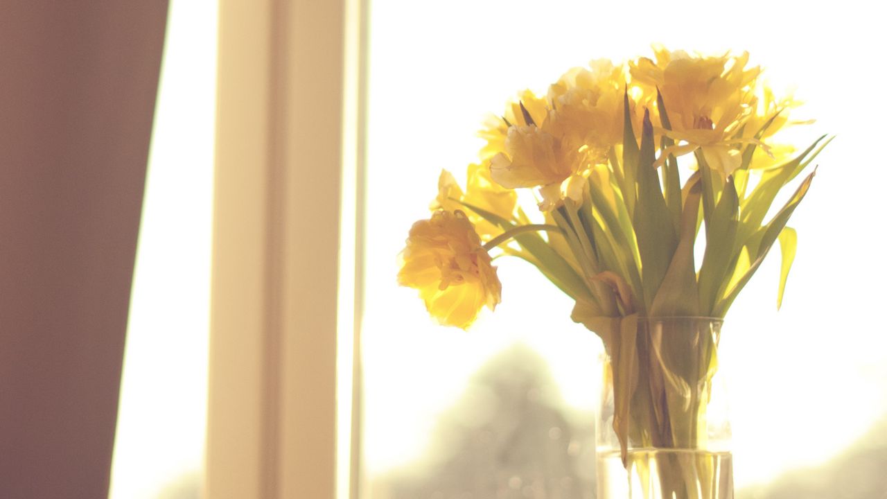 Обои цветы, желтый, букет, ваза, окно, свет