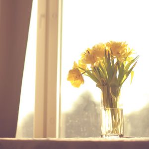 Превью обои цветы, желтый, букет, ваза, окно, свет