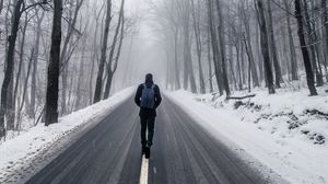 Превью обои туман, человек, снег, деревья, дорога, одиночество