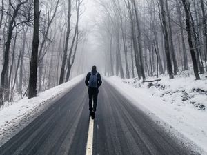 Превью обои туман, человек, снег, деревья, дорога, одиночество