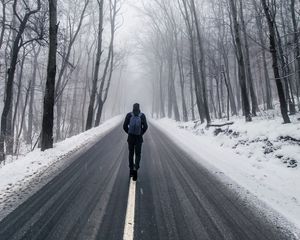 Превью обои туман, человек, снег, деревья, дорога, одиночество