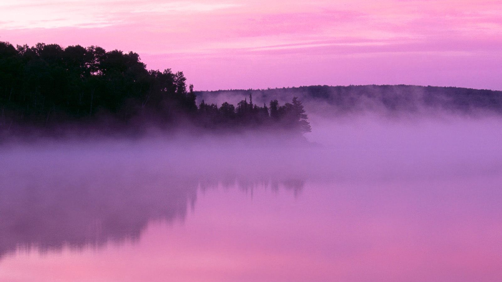 Отец федора выбравшийся из фиолетового тумана. Розовый туман. Фиолетовый туман. Сиреневый туман. Лиловый туман.