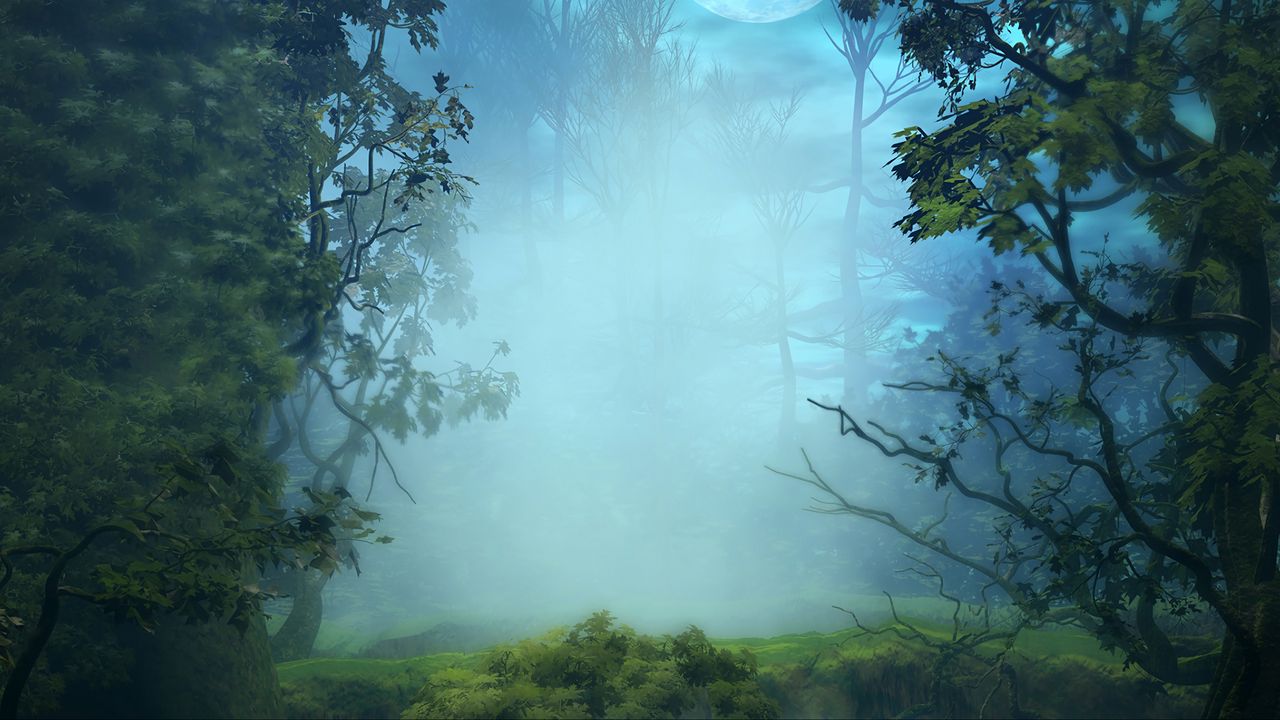 Обои туман, деревья, арт, лес, ветки