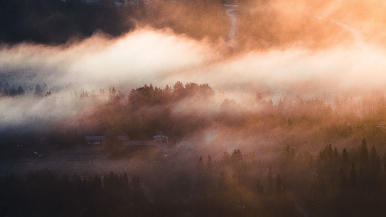 Обои туман, деревья, деревня, вид сверху
