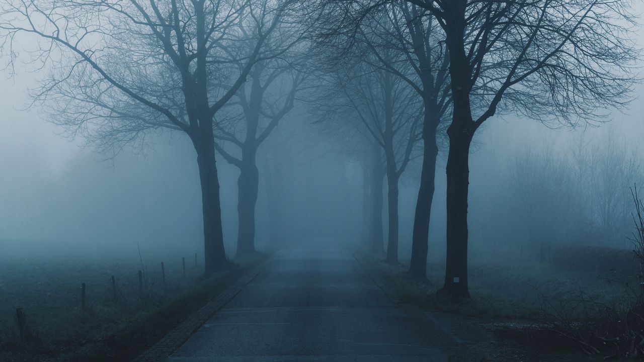 Обои туман, деревья, дорога, мгла, природа