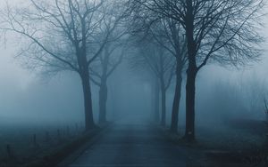 Превью обои туман, деревья, дорога, мгла, природа