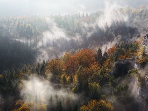 Превью обои туман, деревья, горы, вершина