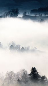 Превью обои туман, деревья, холмы, горы, пейзаж