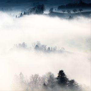 Превью обои туман, деревья, холмы, горы, пейзаж