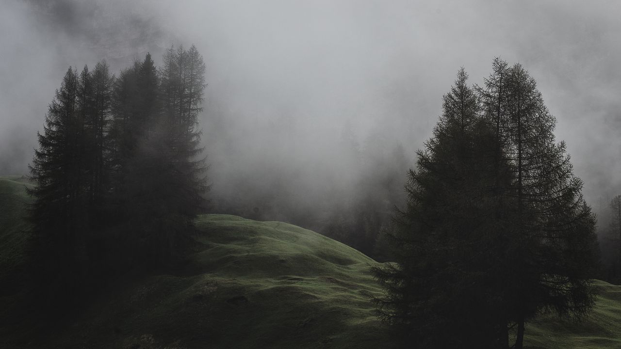 Обои туман, деревья, луг, горы, италия