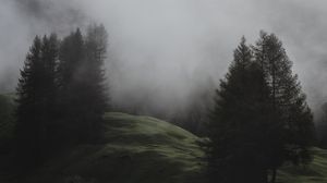 Превью обои туман, деревья, луг, горы, италия