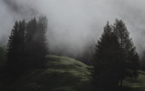 Превью обои туман, деревья, луг, горы, италия