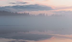 Превью обои туман, деревья, отражение, облака