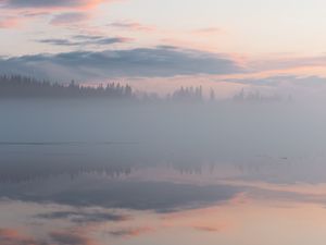 Превью обои туман, деревья, отражение, облака