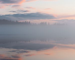 Превью обои туман, деревья, отражение, облака