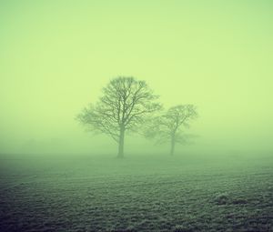 Превью обои туман, деревья, поле, природа