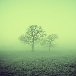 Превью обои туман, деревья, поле, природа