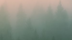 Превью обои туман, деревья, силуэты, мгла