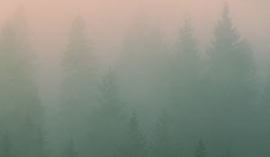 Превью обои туман, деревья, силуэты, мгла